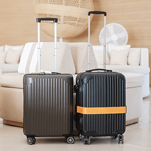 Baggage Loss Coverage