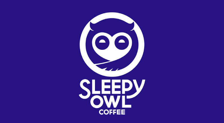 Sleepy Owl